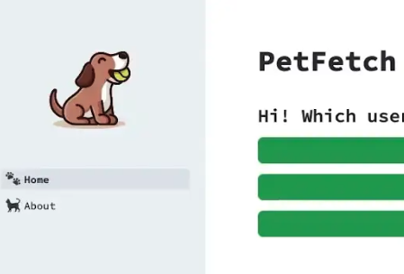 PetFetch project preview